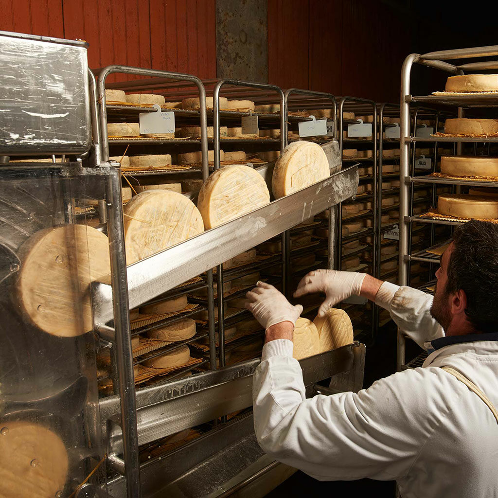 terres-auvergne-affinage-fromages