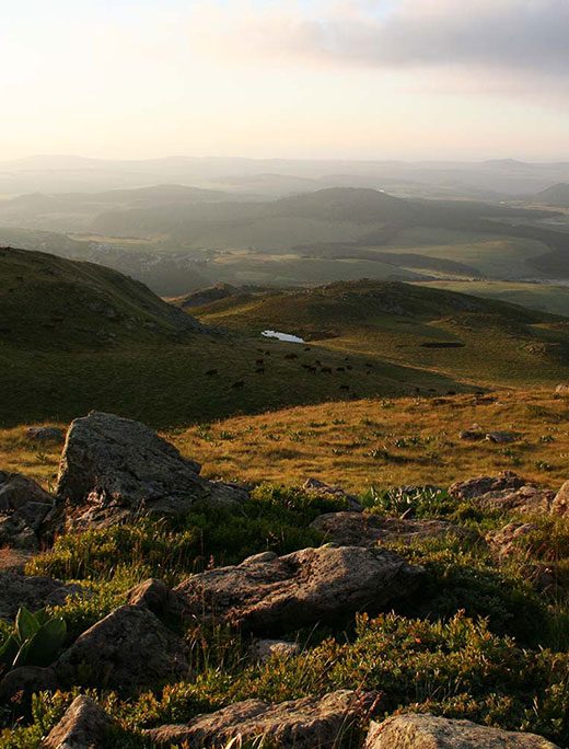 territoire-auvergne-sancy